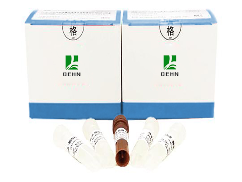 Human MTHFR Genotyping Kit (H型高血圧)
