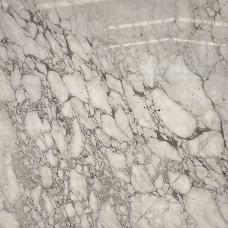 中国のアラベスカートの白い大理石の床材
