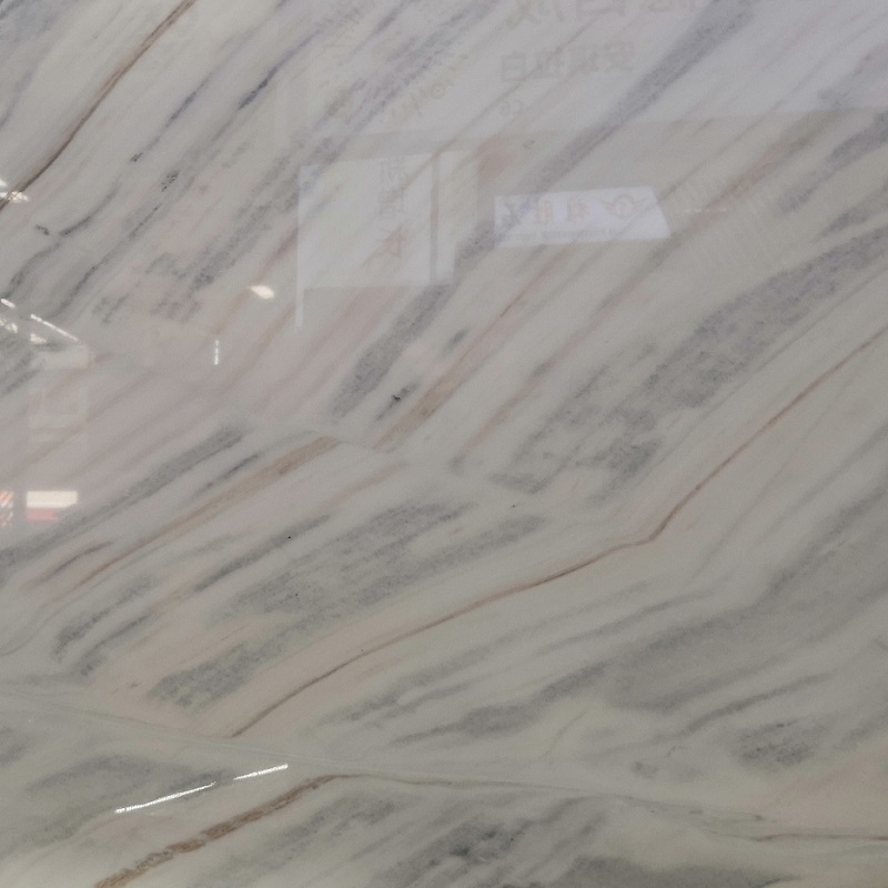 磨かれたBianco Lasaの白い大理石の平板

