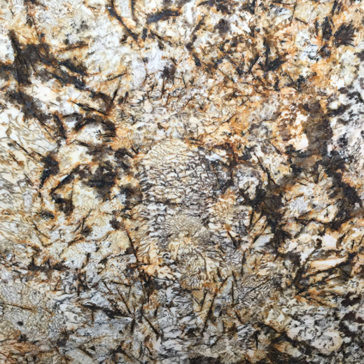 ゴールドバタフライ花崗岩のカウンタートップスラブテーブルトップ用の豪華な天然石
